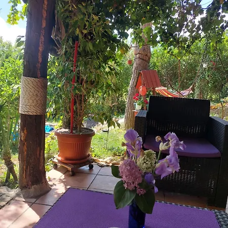 Vikendica Popovica Viki Holiday home Sremska Kamenica